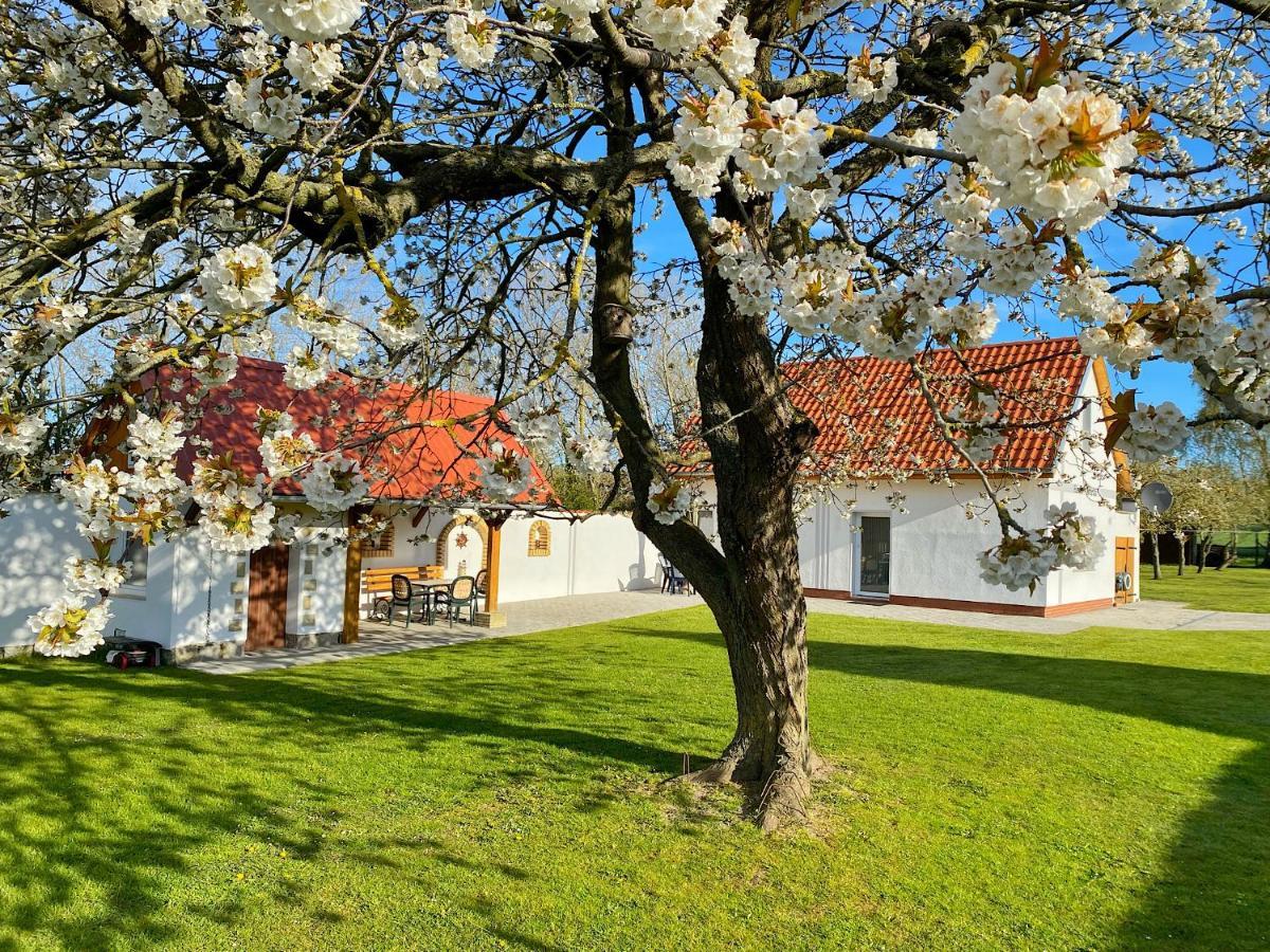 Ferienhaus Berta Sassnitz Exterior photo
